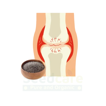 Enhances Bone Health Enhances Bone Health