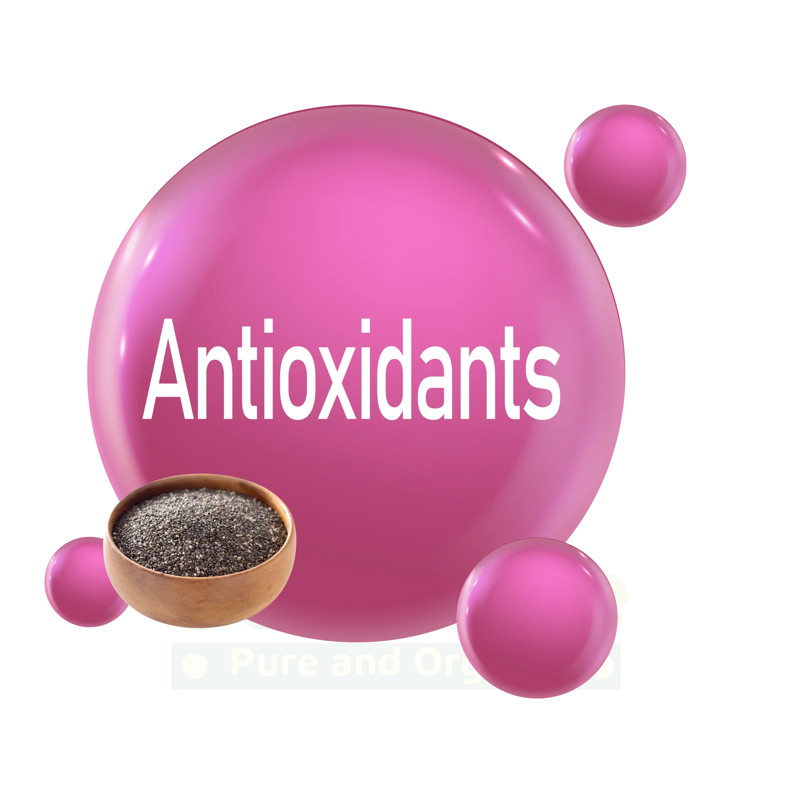 High in Antioxidants High in Antioxidants