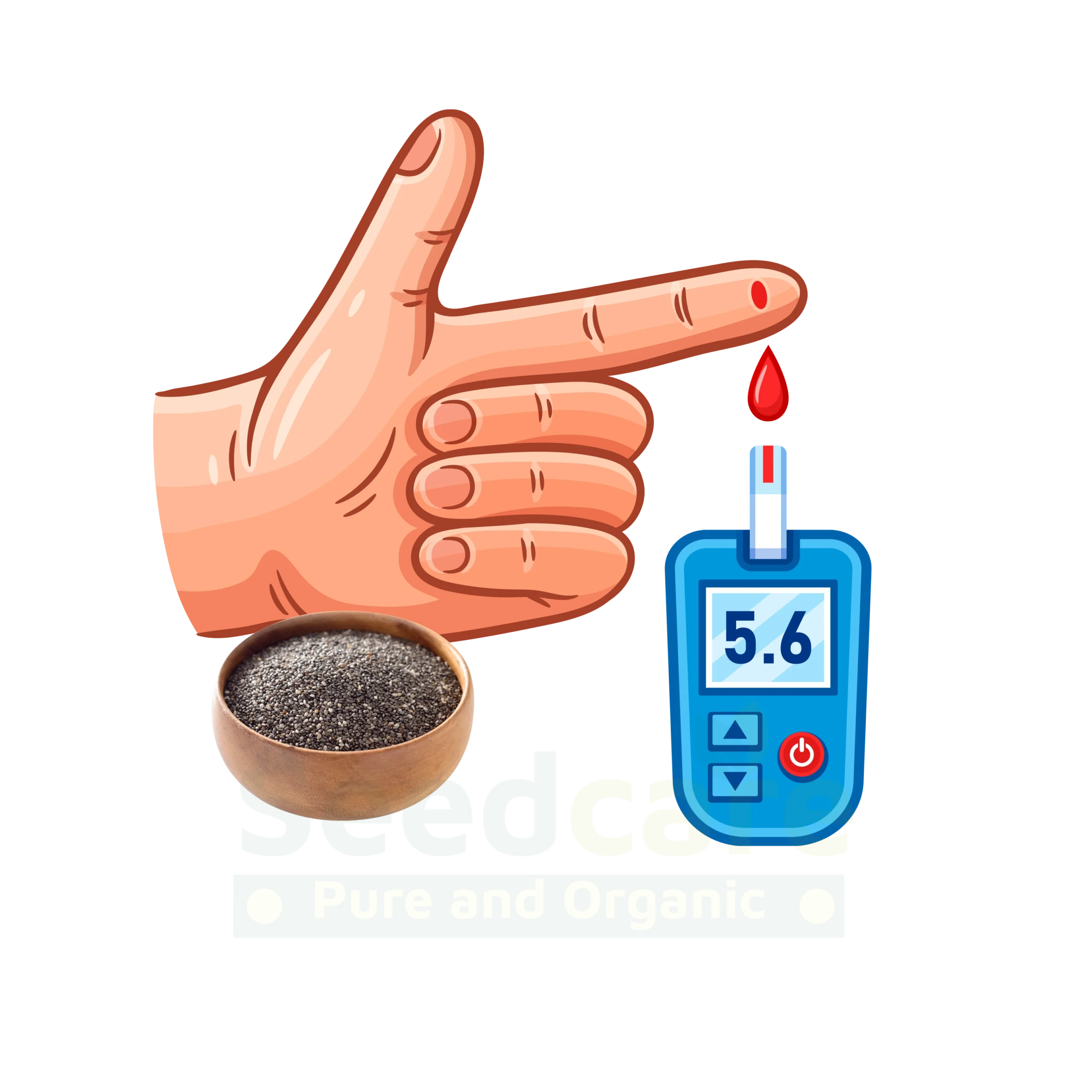 Regulates Blood Sugar Levels Regulates Blood Sugar Levels