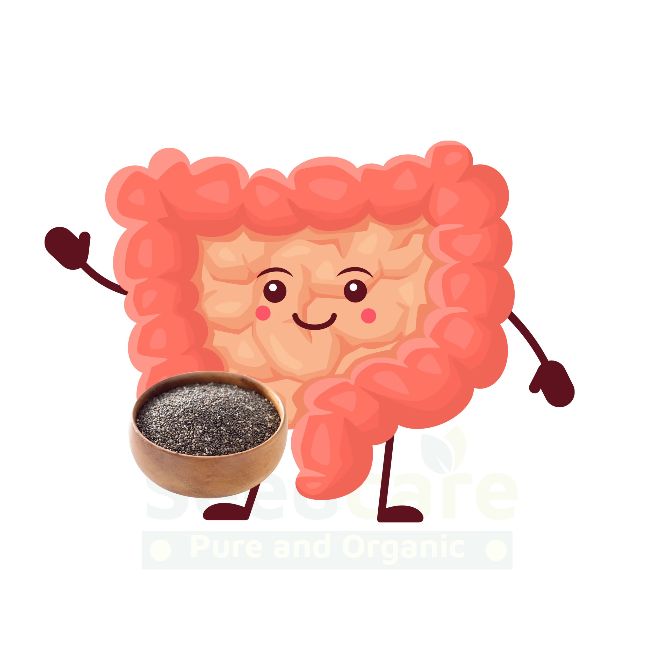 Supports Digestive Health Supports Digestive Health