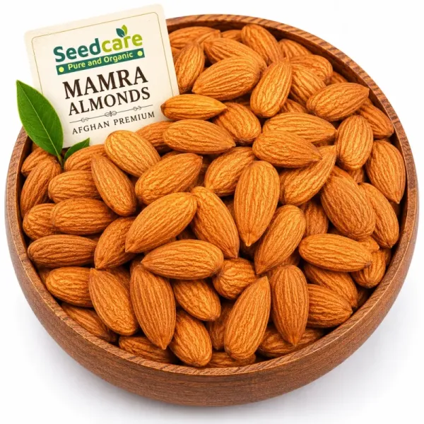 Seedcare Mamra Almonds | Afghan Premium | Brain Tonic Memory Ayurveda