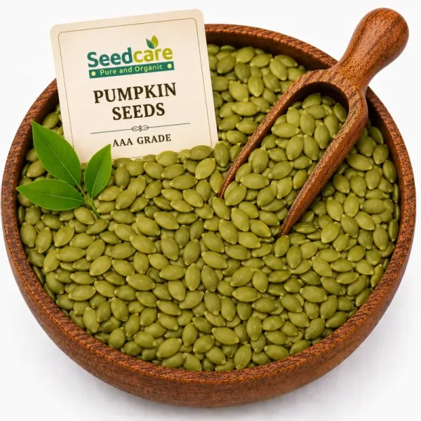 Seedcare Pumpkin Seeds AAA Grade | Zinc Protein Sleep Prostate Immunity