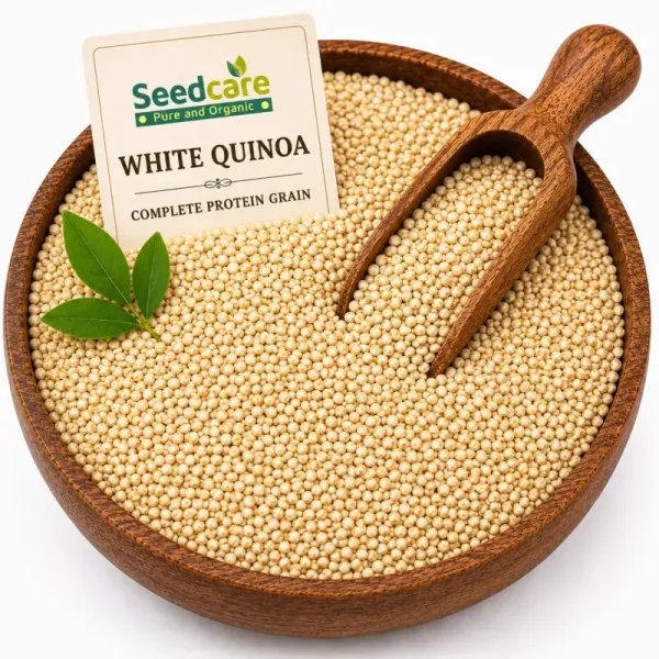 Seedcare White Quinoa | Complete Protein Grain | Gluten-Free Low GI