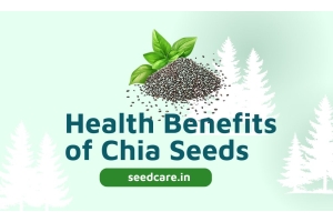 Chia Seeds