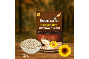Seedcare Sunflower Seeeds
