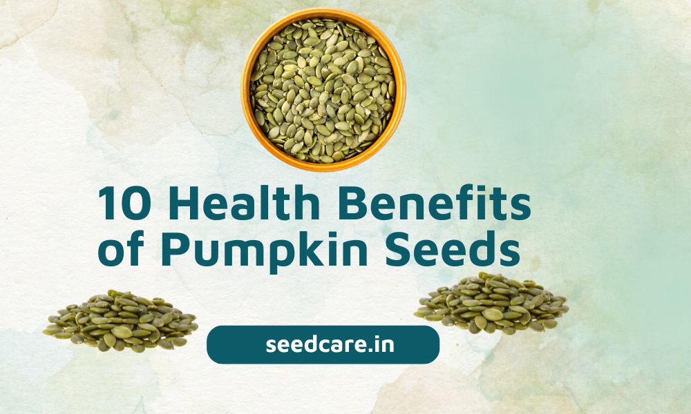 10 Health Benefits of Pumpkin Seeds