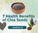 7 Health Benefits of Chia Seeds