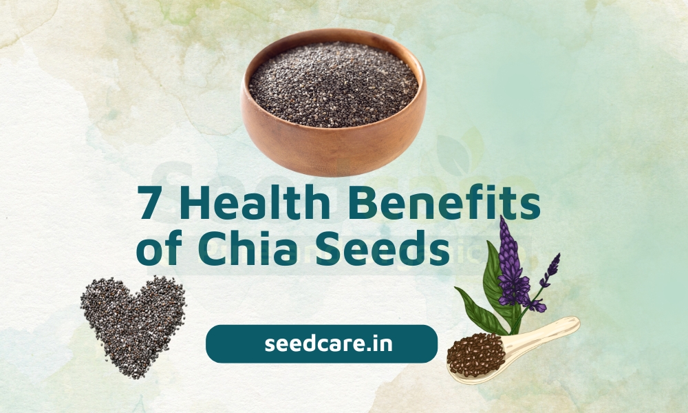7 Health Benefits of Chia Seeds