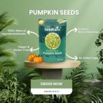 pumpkin seed banner