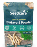 shatawari powder